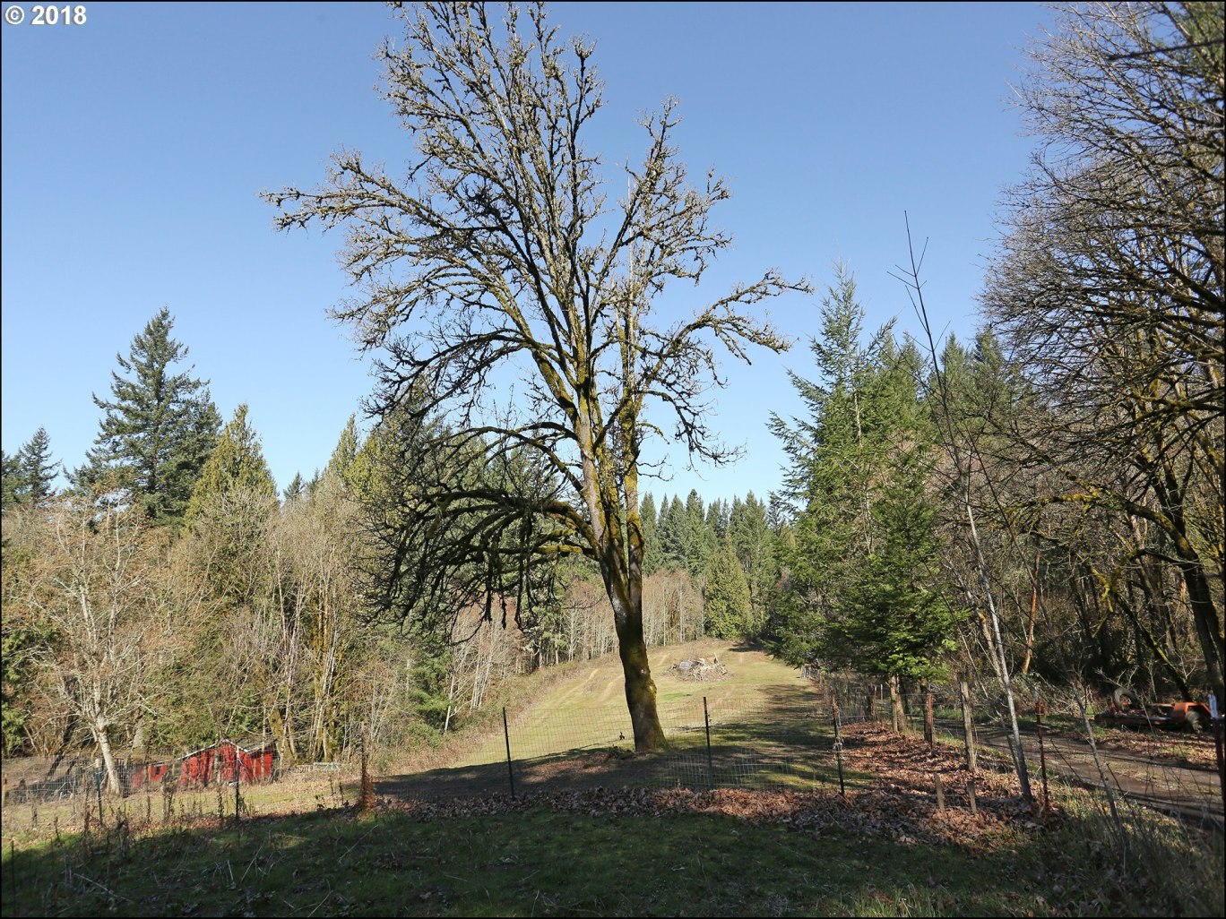 12821 Northwest Springville Road Portland, OR 97229 - Photo 26 of 30 Gallery Image 26