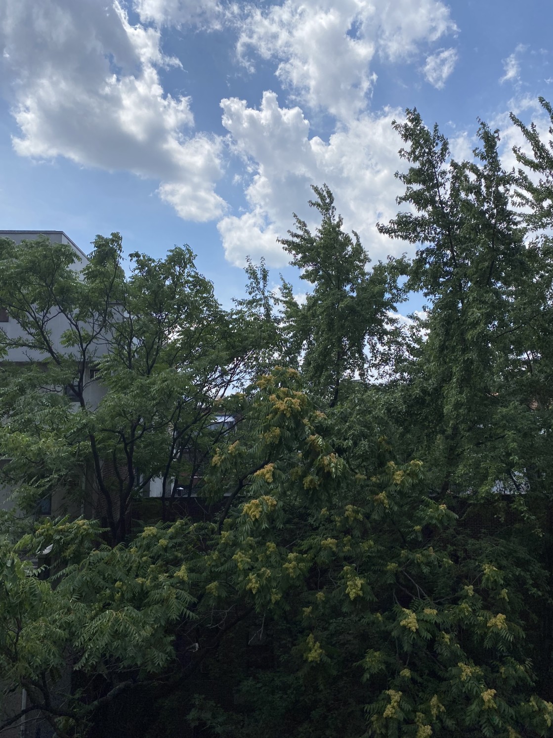 222 West 14th Street, Unit 5D Manhattan, NY 10011 - Photo 9 of 11