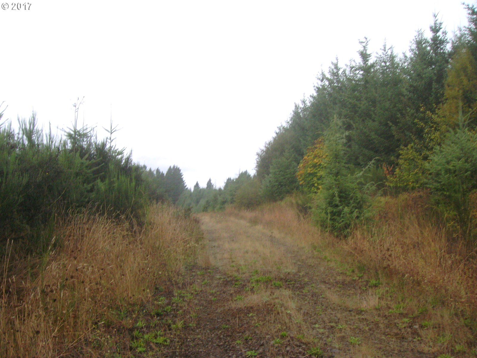 Northwest Hayward Road Banks, OR 97106 - Photo 24 of 24 Gallery Image 24