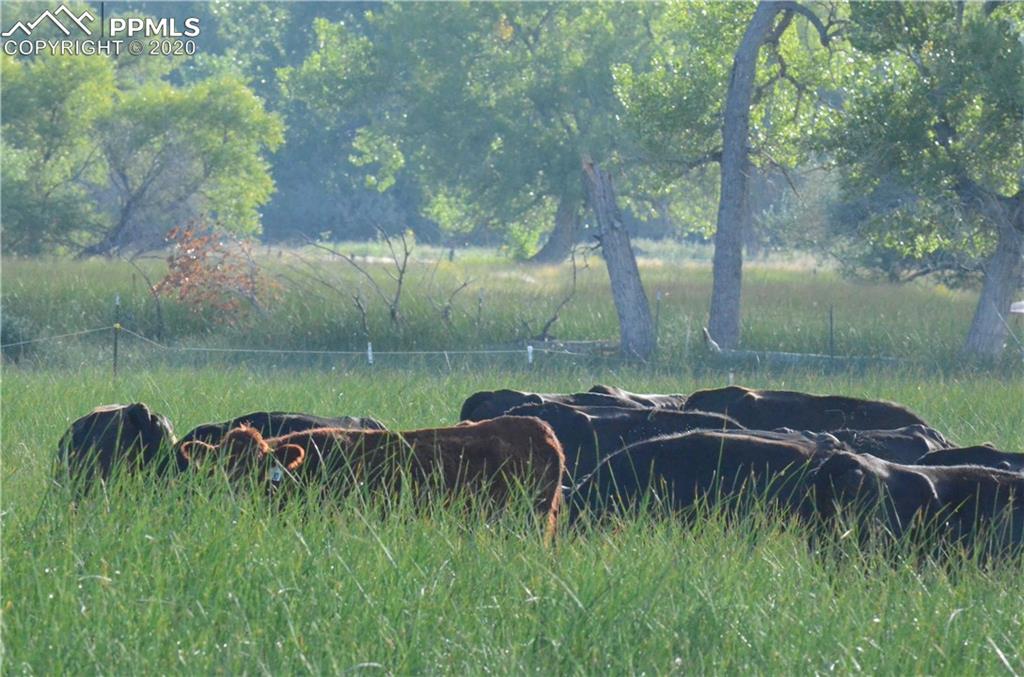 65295 Highway 50 Fowler, CO 81039 - Photo 18 of 26