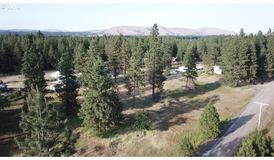 243 South Mike Road Tygh Valley, OR 97063 - Photo 3 of 18 Gallery Image 3