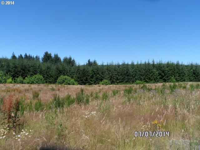 21650 Northwest Pumpkin Ridge Road North Plains, OR 97133 - Photo 11 of 16 Gallery Image 11