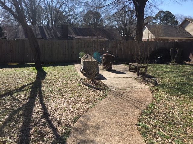 369 Tara Ridge Cove Collierville, TN 38017 - Photo 10 of 11