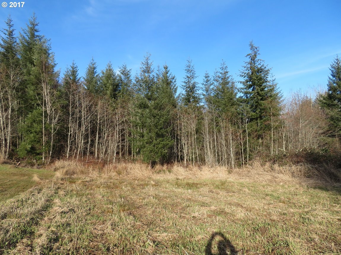 Cousins Road, Unit 1 Chehalis, WA 98532 - Photo 24 of 32
