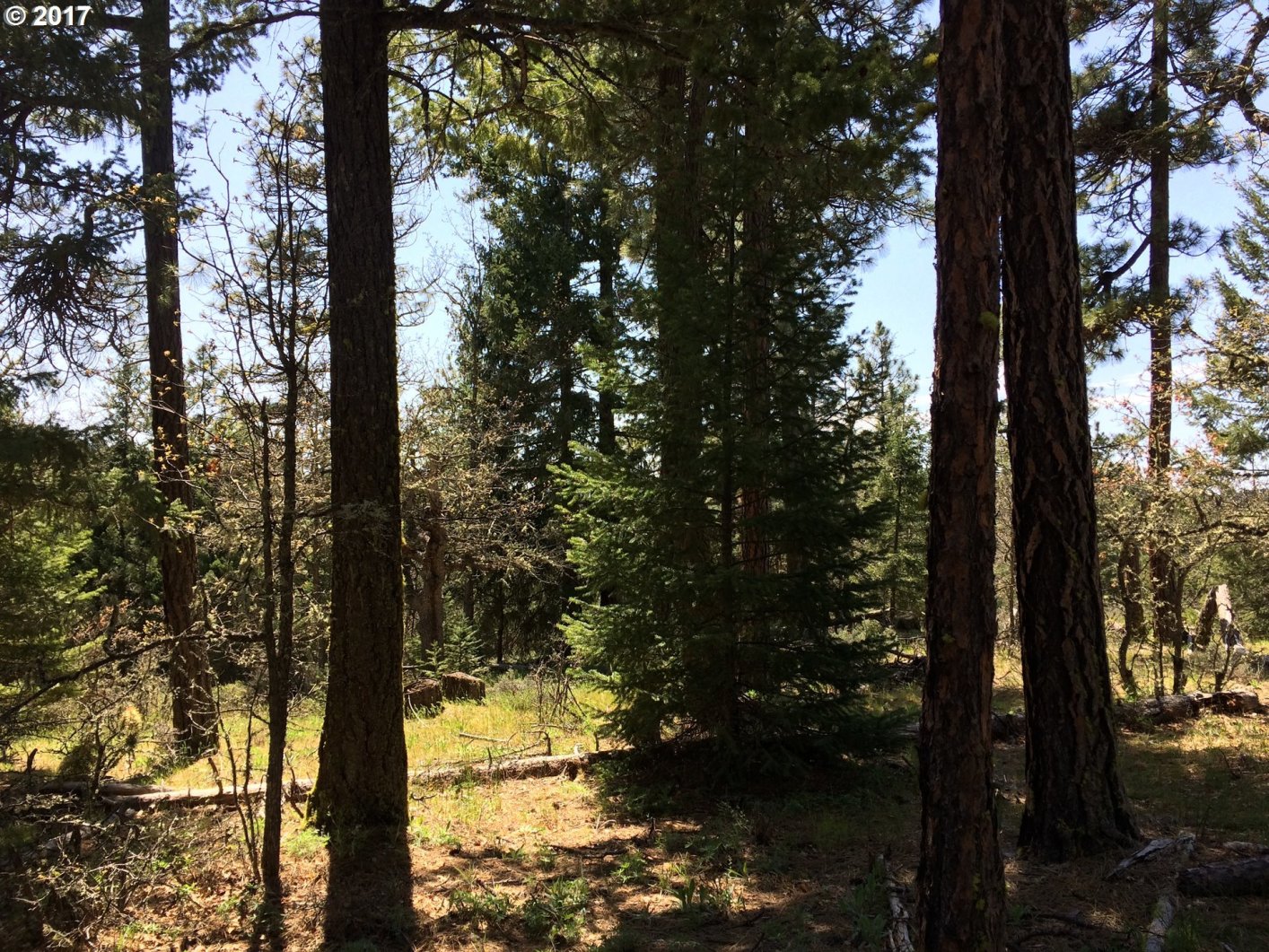 0 Jenkins Creek Road Goldendale, WA 98620 - Photo 10 of 22 Gallery Image 10