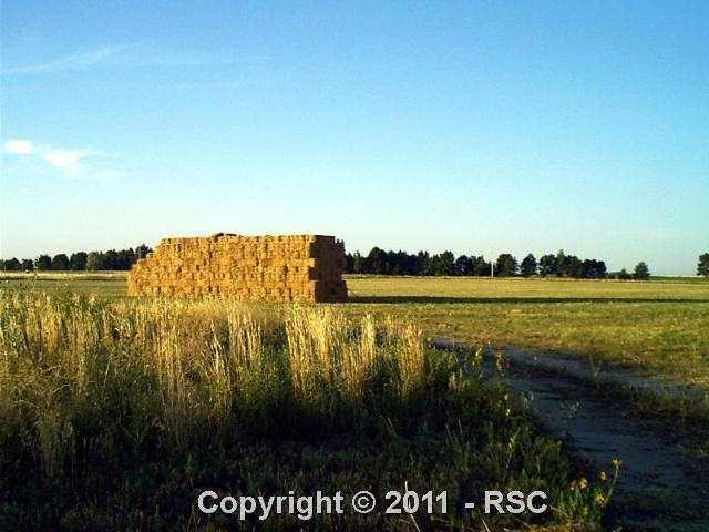 23330 Judge Orr Road Calhan, CO 80808 - Photo 5 of 5
