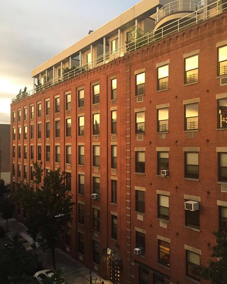 29 Tiffany Place, Unit 1E Brooklyn, NY 11231 - Photo 6 of 8