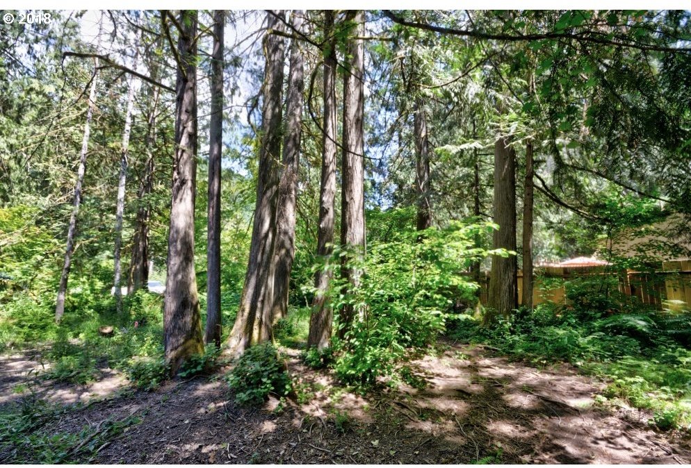 65601 East Alpine Way Rhododendron, OR 97049 - Photo 5 of 27