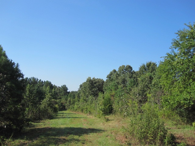 252 Duke Road Pope, MS 38658 - Photo 17 of 25 Gallery Image 17