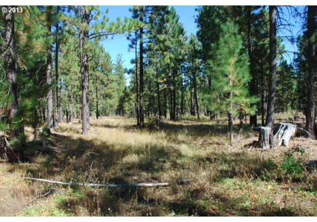 Pine Creek Road, Unit 3 Roosevelt, WA 99356 - Photo 11 of 15 Gallery Image 11