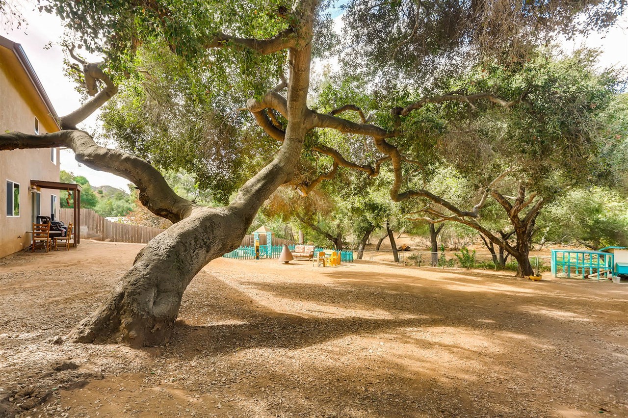 423 Silverbrook Drive El Cajon, CA 92019 - Photo 19 of 25