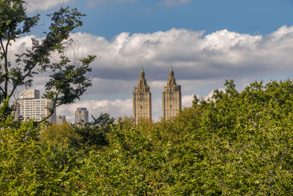 953 5th Avenue, Unit 5/6 Manhattan, NY 10075 - Photo 14 of 22