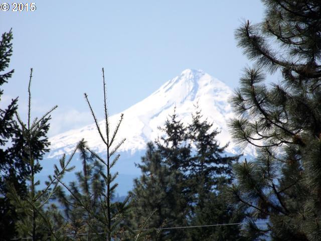 Turkey Run Road Goldendale, WA 98620 - Photo 12 of 12 Gallery Image 12