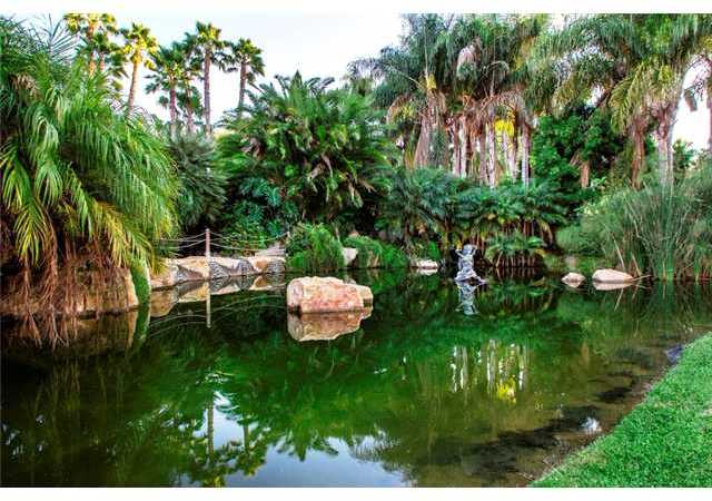 5974 Rancho Diegueno Road Del Mar, CA 92014 - Photo 11 of 25