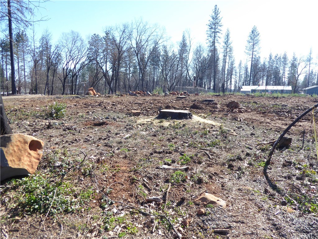 866 Central Park Drive Paradise, CA 95969 - Photo 5 of 10