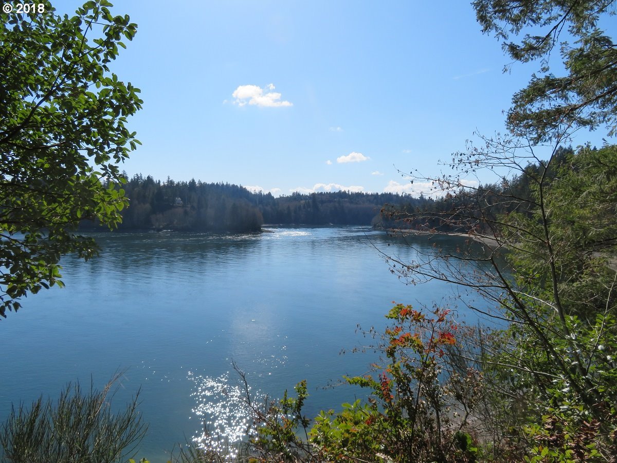 East Benson Loop Road Shelton, WA 98584 - Photo 6 of 27 Gallery Image 6