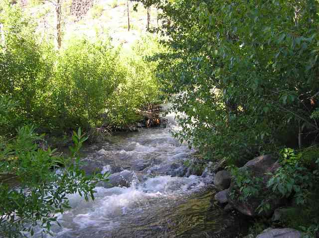 14441 Iceland Road Floriston, CA 96111 - Photo 3 of 4