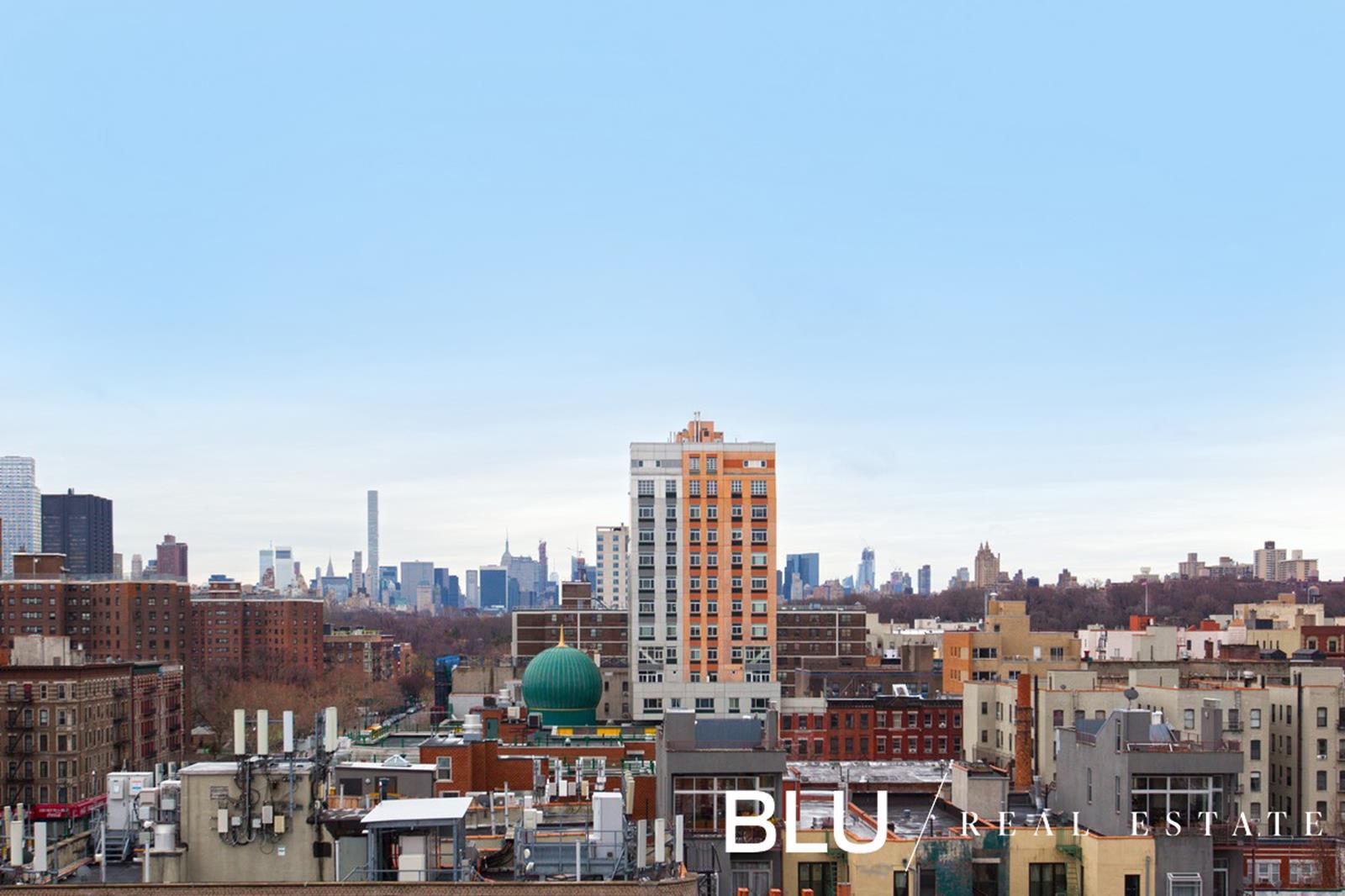 100 West 119th Street, Unit 3D Manhattan, NY 10026 - Photo 7 of 21