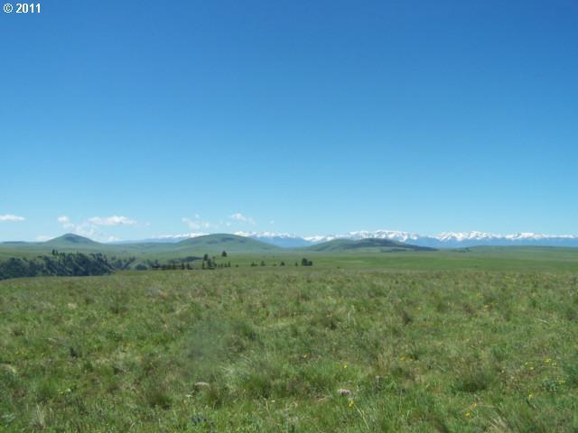 Zumwalt Road Imnaha, OR 97842 - Photo 2 of 11 Gallery Image 2