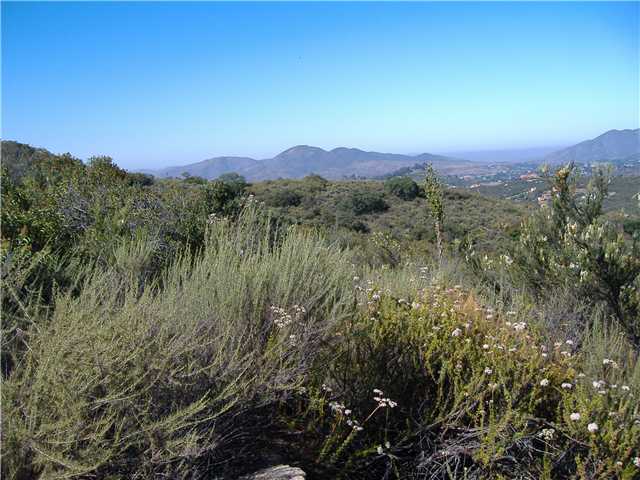 15000 Lyons Valley Road Jamul, CA 91935 - Photo 9 of 10 View to the Ocean...Mt. Migues in the Distance.