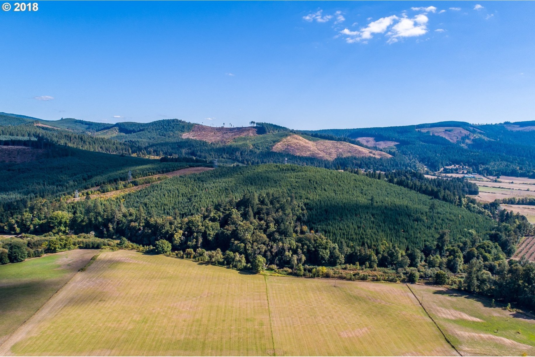 La Lone Road Springfield, OR 97478 - Photo 5 of 12