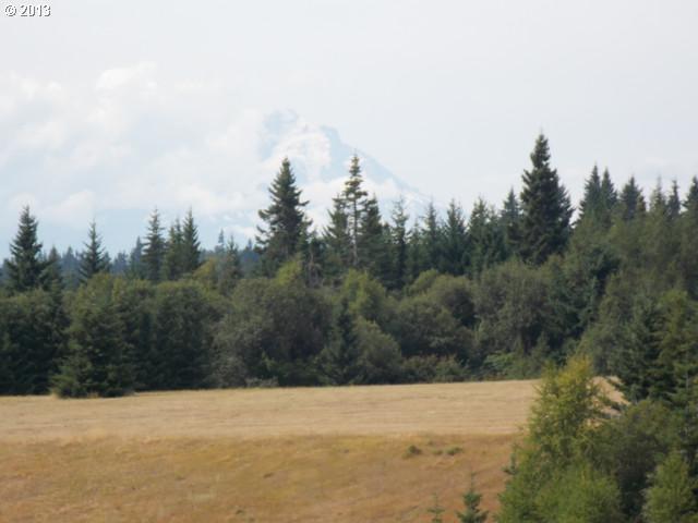 Pyatt White Salmon, WA 98672 - Photo 3 of 8 Gallery Image 3