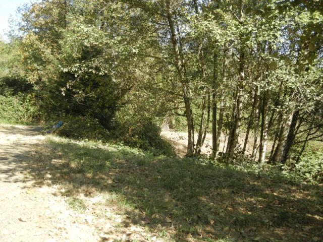 112 Redwing Road Woodland, WA 98674 - Photo 7 of 15