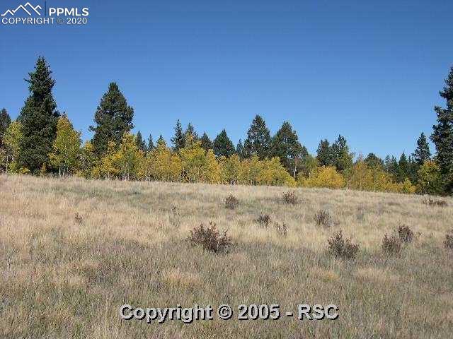 632 Aspen Village Road Divide, CO 80814 - Photo 3 of 4 As you can see there is an excellent mix of mature pines, aspens and meadow to provide the rare combination of trees and views.