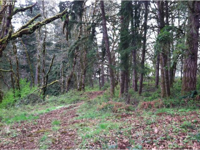 3505 Edison Road Northeast Silverton, OR 97381 - Photo 6 of 9