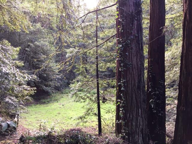 145 Henrik Ibsen Road Woodside, CA 94062 - Photo 5 of 6