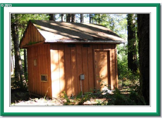 99208 Silver Creek Road Agness, OR 97406 - Photo 3 of 16 Gallery Image 3