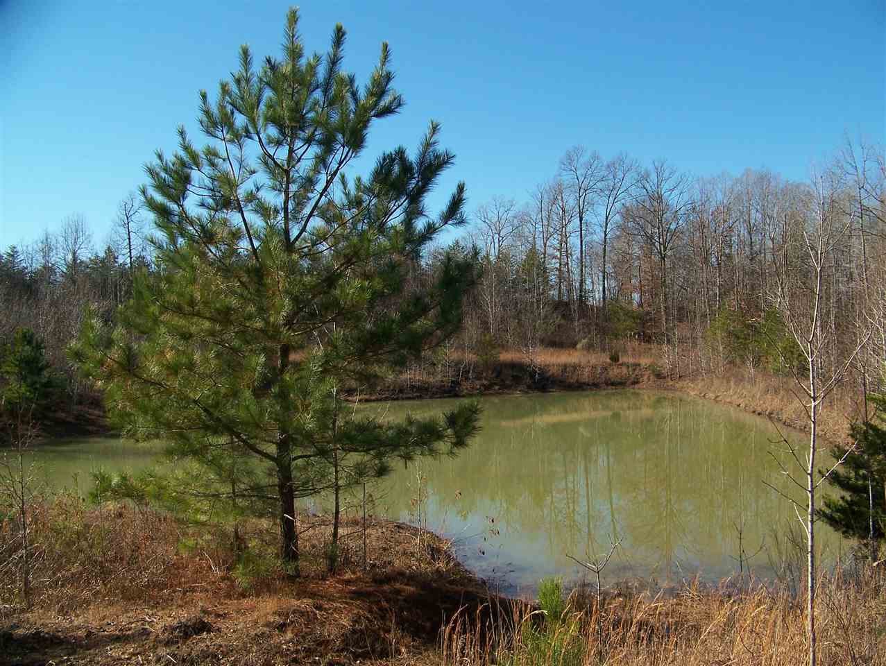4735 Glendale Road Morris Chapel, TN 38361 - Photo 6 of 25 Lake / Pond