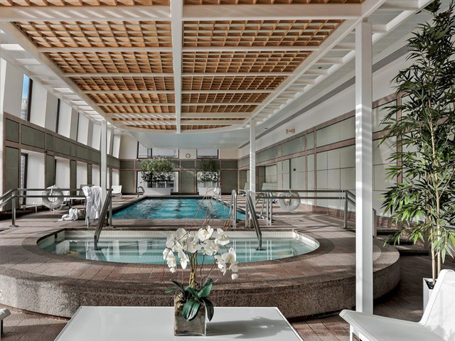 161 E Chicago Ave, Chicago, IL 60611 - Photo 6 of 15