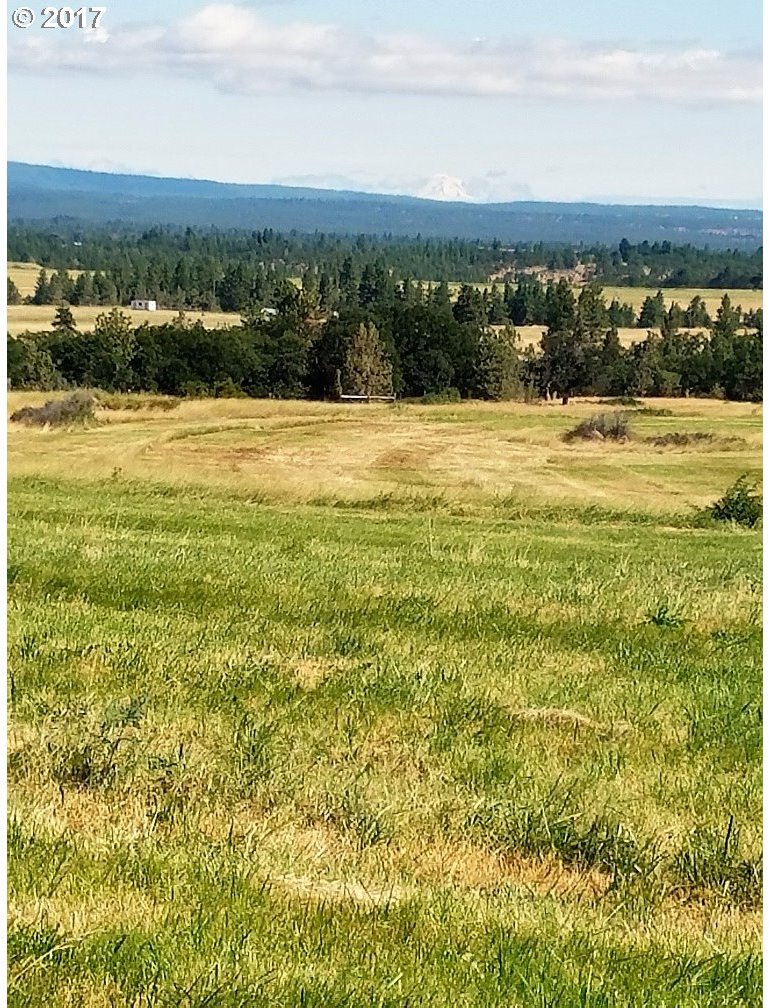 79263 Ayres Road Tygh Valley, OR 97063 - Photo 14 of 31 Gallery Image 14