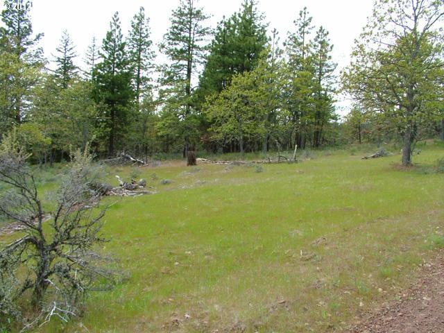 Bubble Creek Road Goldendale, WA 98620 - Photo 1 of 10 Gallery Image 1