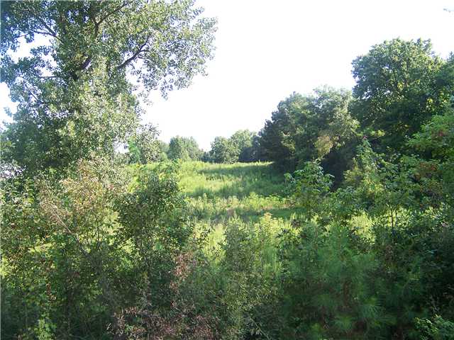 0 Wadsworth Road Road Henning, TN 38041 - Photo 2 of 4