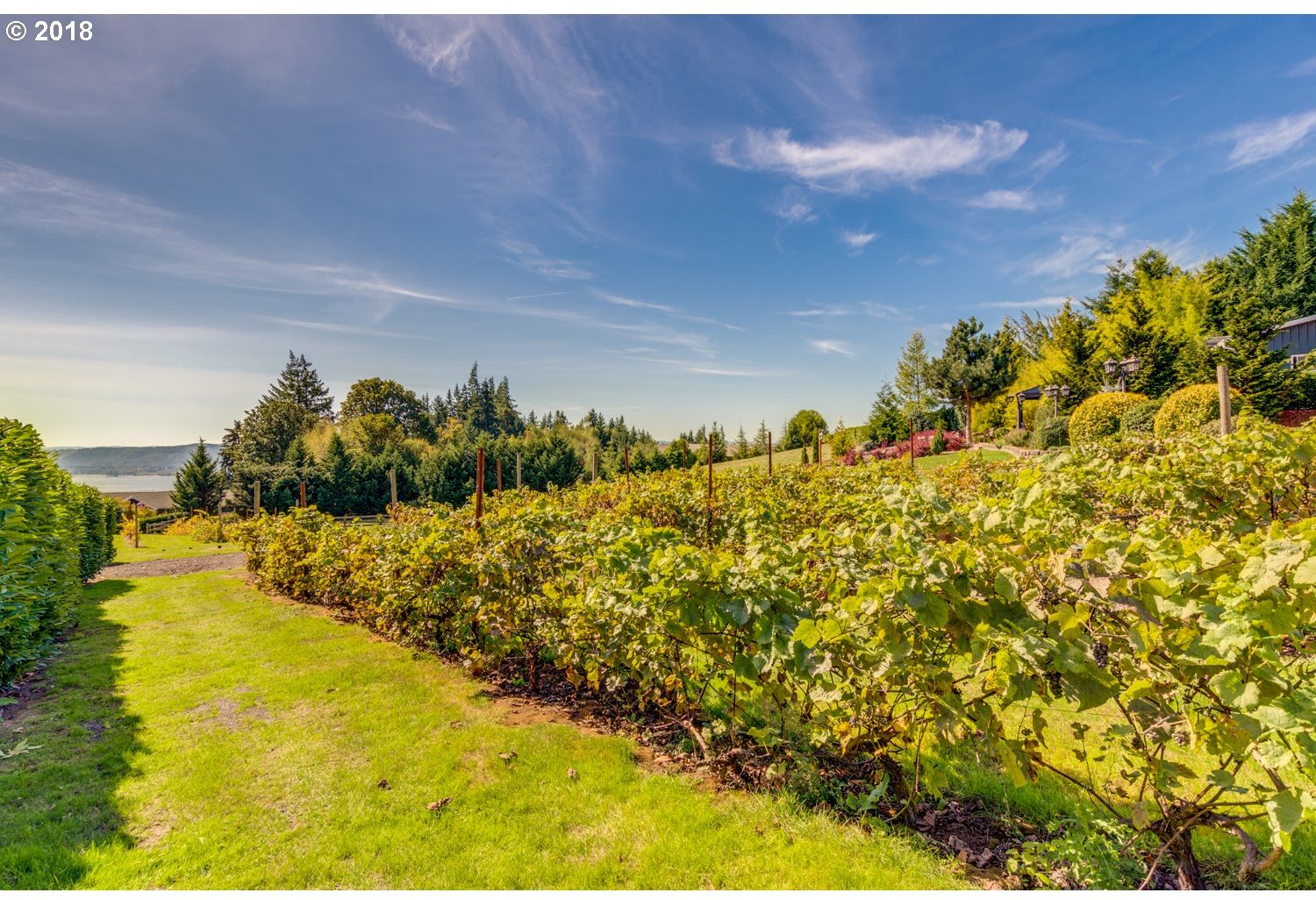 151 Feather Ridge Drive Woodland, WA 98674 - Photo 29 of 31 Gallery Image 29