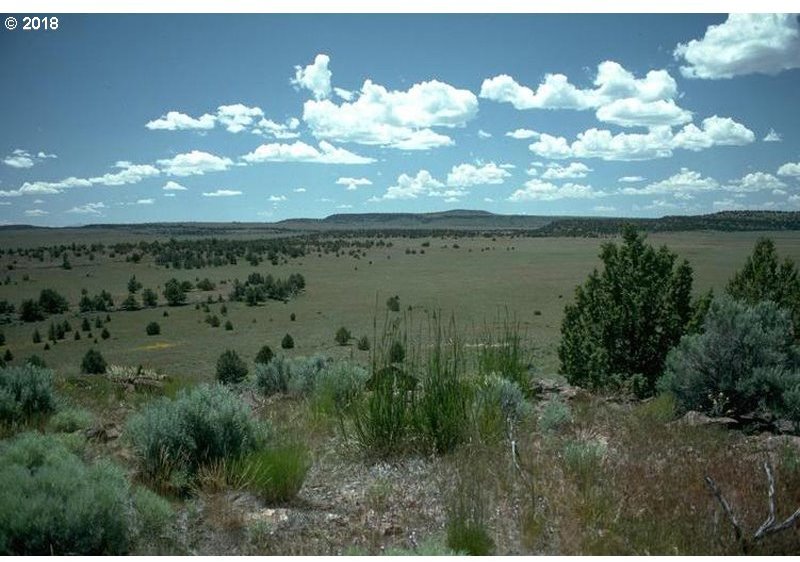 0 China Hat Road Silver Lake, OR 97638 - Photo 1 of 4 Gallery Image 1