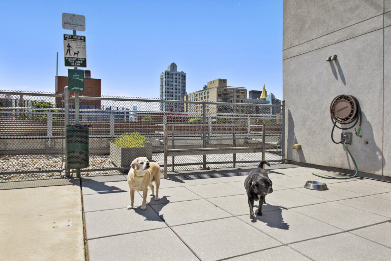 225 East 34th Street, Unit 17G Manhattan, NY 10016 - Photo 8 of 10