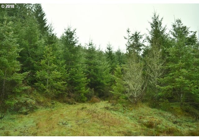 Cottage Grove Lorane, OR 97451 - Photo 12 of 20 Gallery Image 12