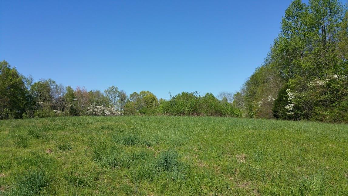 272 Powdermill Hill Road Lawrenceburg, TN 38464 - Photo 11 of 11