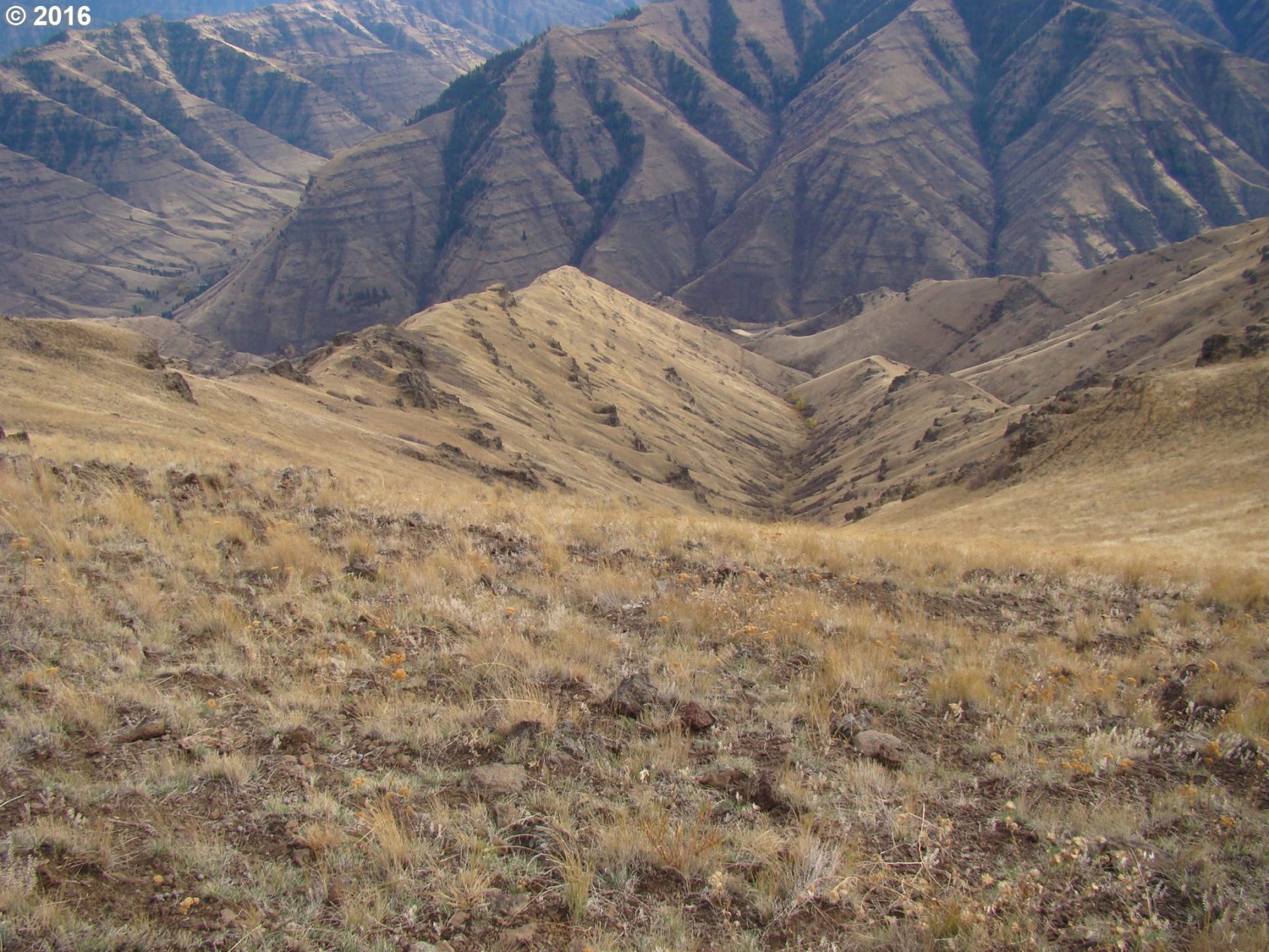 0 Trail Creek Road Joseph, OR 97846 - Photo 4 of 17 Gallery Image 4