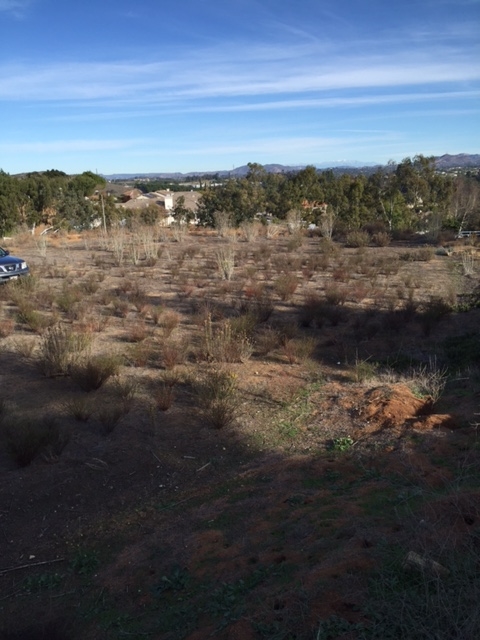 Futurity Lane Fallbrook, CA 92028 - Photo 4 of 5