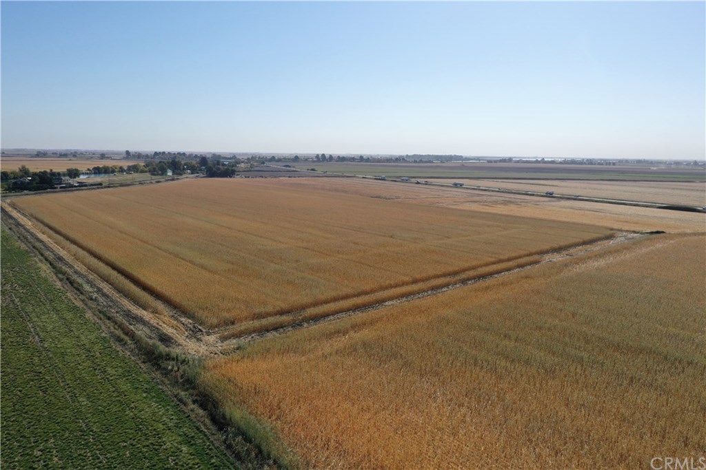 0 Terminous Road Isleton, CA 95641 - Photo 6 of 6