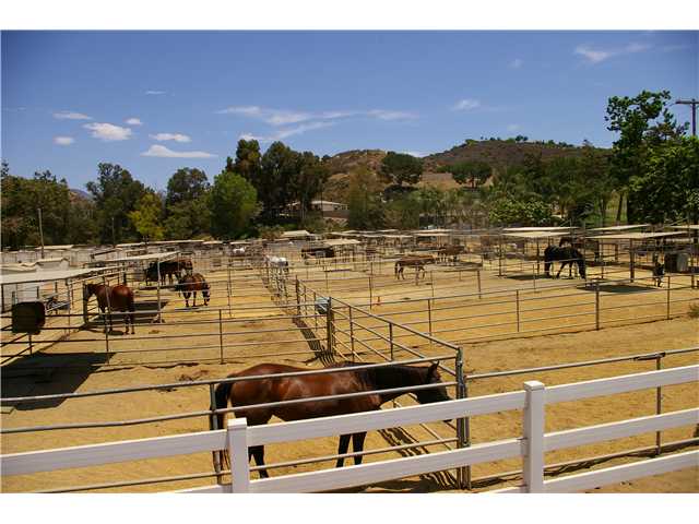 13827 Belvedere Drive Poway, CA 92064 - Photo 21 of 24 Another photo of nearby horse facilities