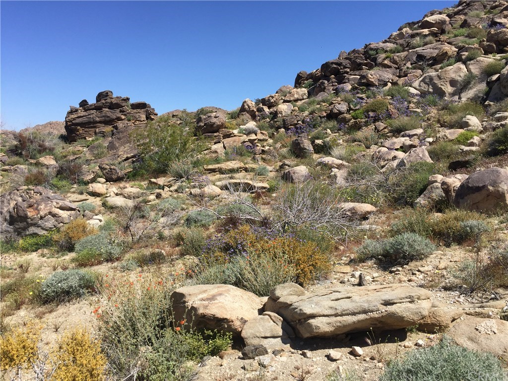 8140 Skyline Drive Joshua Tree, CA 92252 - Photo 12 of 27 Consider all the possibilities to create a spectacular home site