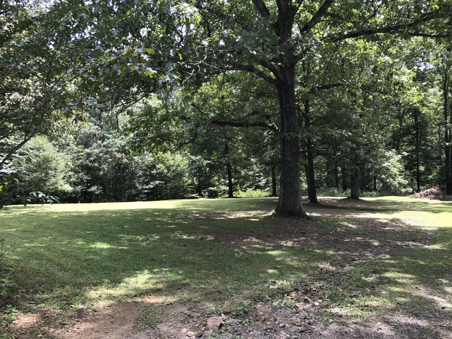 1152 Pee Dee Branch Road Cottontown, TN 37048 - Photo 5 of 34 Gallery Image 5