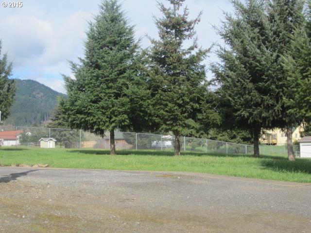 378 Moon Hill Road Tenmile, OR 97481 - Photo 7 of 13