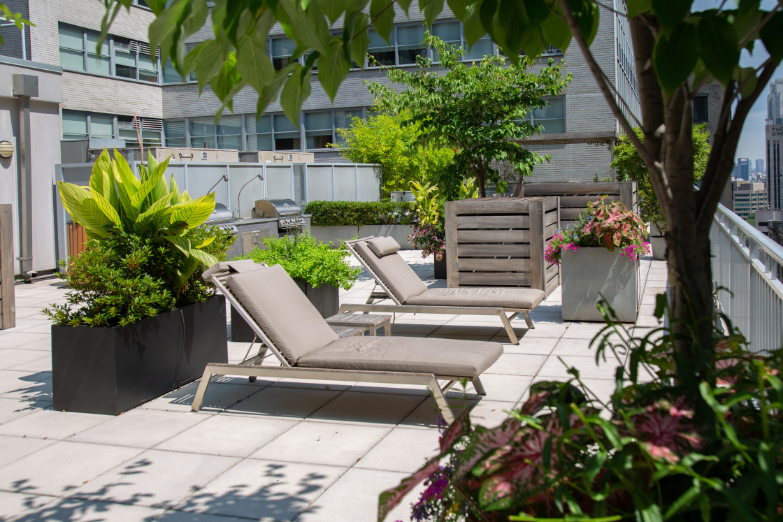 59 John Street, Unit 12C Manhattan, NY 10038 - Photo 16 of 22