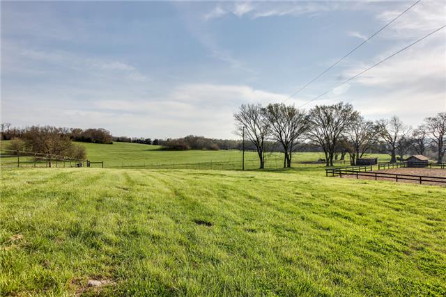 13920 Patterson Road College Grove, TN 37046 - Photo 7 of 30 Does this look like a good place to ride?